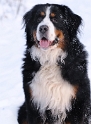 Anton Winter D33_1440 Kopie